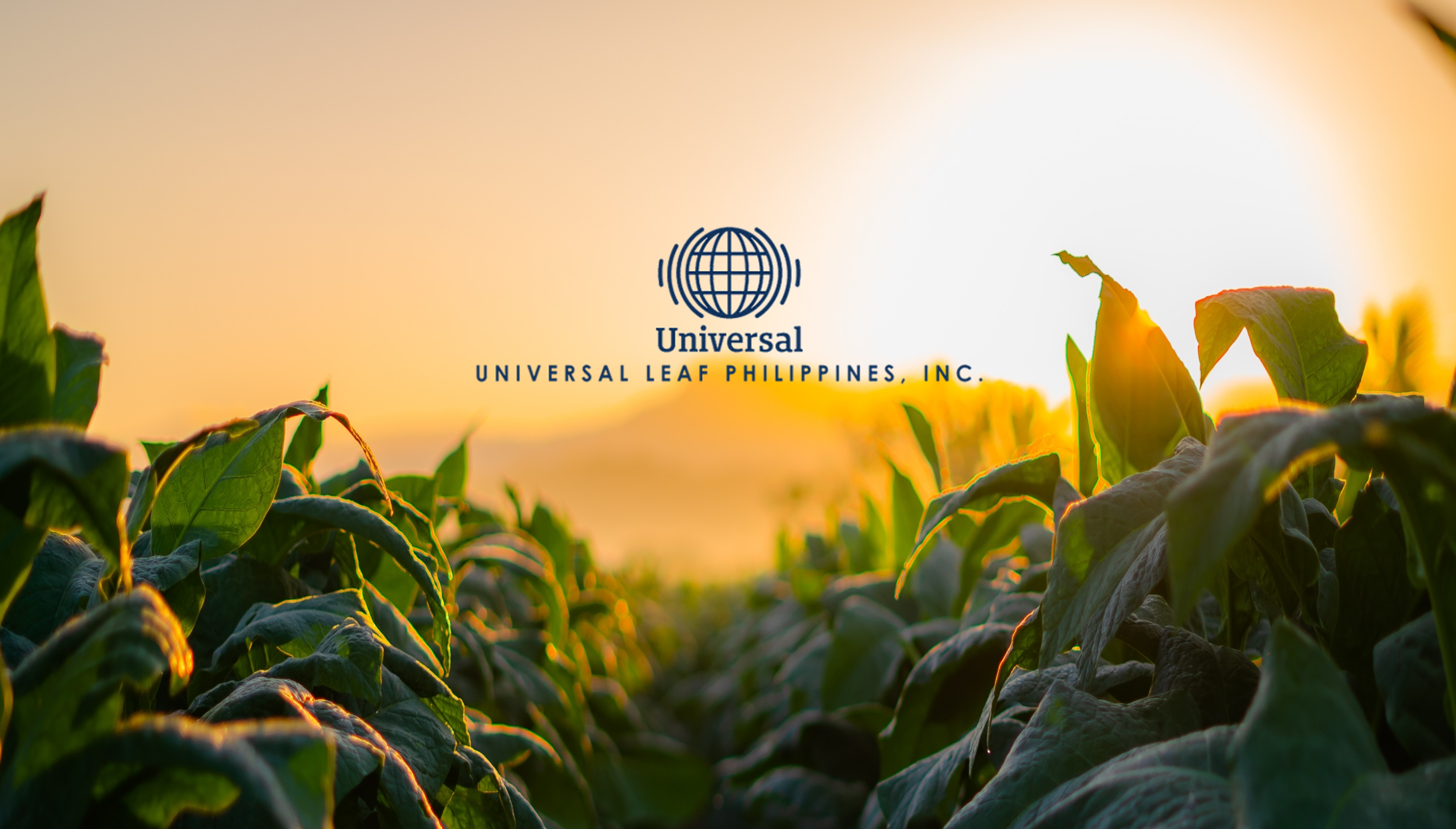 universal leaf tobacco jobs Universal Leaf Philippines, Inc