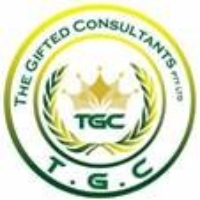 The Gifted Consultants